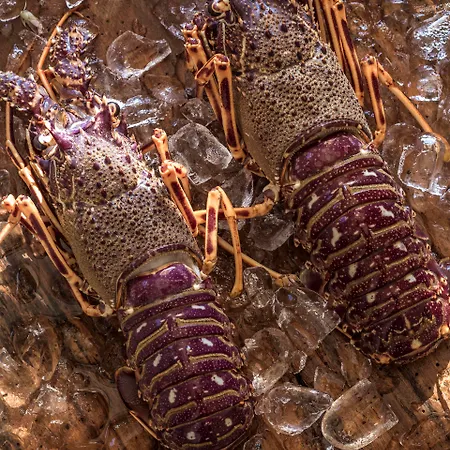 Naxian Collection - Small Luxury Of The World Stelida (Naxos)