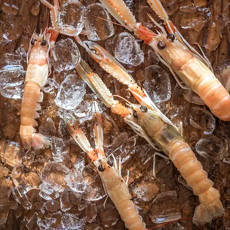 Naxian Collection - Small Luxury Of The World Hotell Stelida (Naxos)