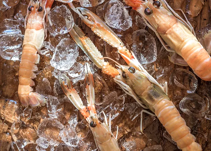 Naxian Collection - Small Luxury Of The World Hotel Stelida (Naxos)